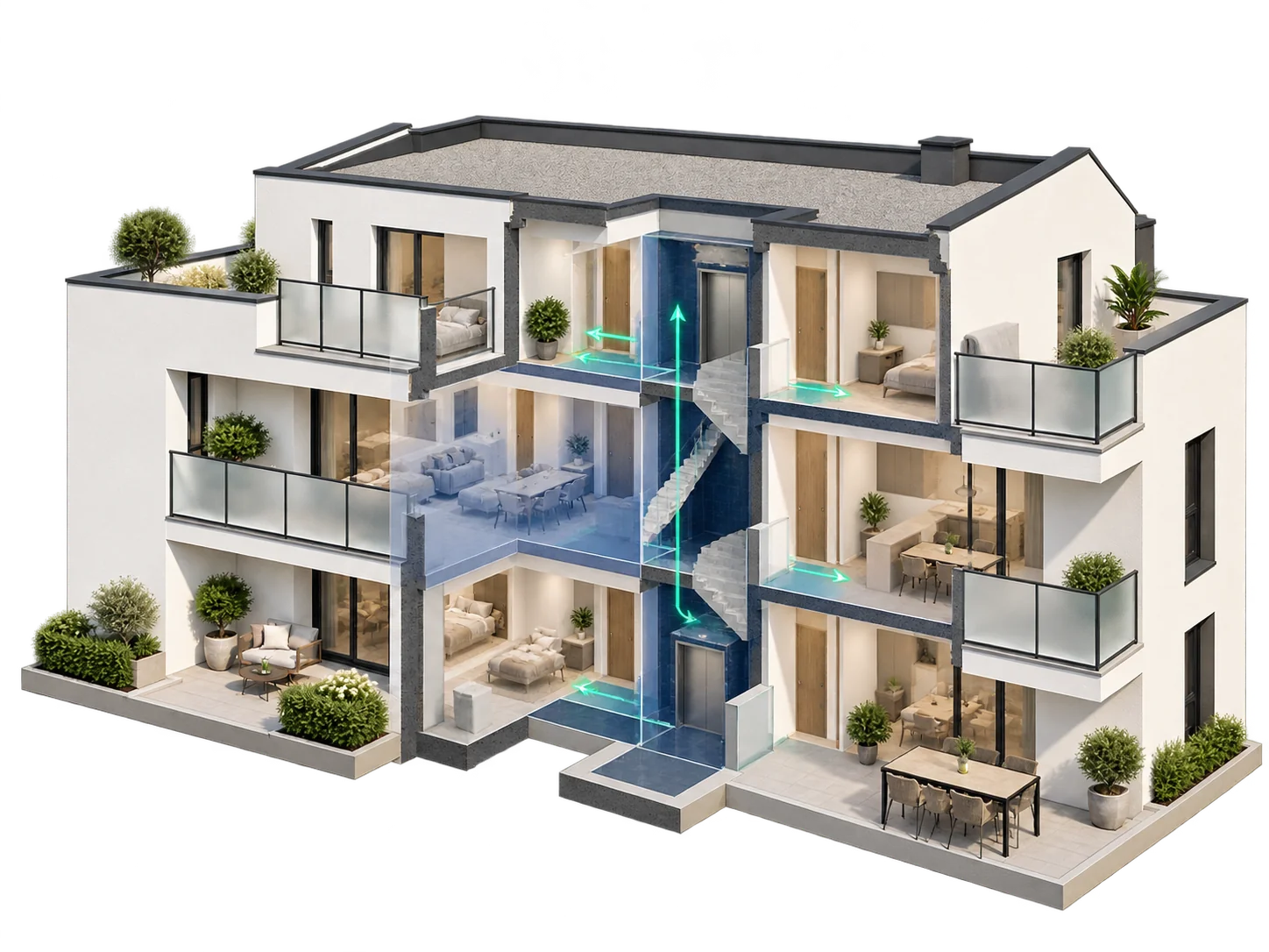 Vue en coupe illustrant une restructuration et un repositionnement fonctionnel